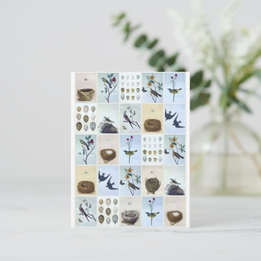 Birds and Nests Briefkaart (Staand voorkant)