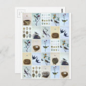 Birds and Nests Briefkaart (Voorkant / Achterkant)