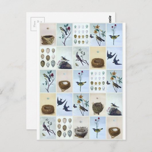 Birds and Nests Briefkaart (Voorkant / Achterkant)