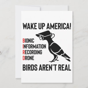 Birds Are Not Real - If It Flies, It Spies Kaart