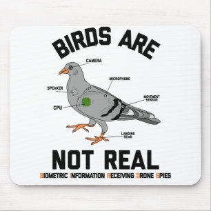 Birds Are Not Real Spy Pigeon Funny Drone Muismat