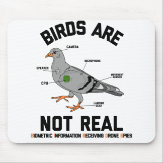 Birds Are Not Real Spy Pigeon Funny Drone Muismat