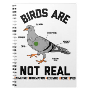 Birds Are Not Real Spy Pigeon Funny Drone Notitieboek