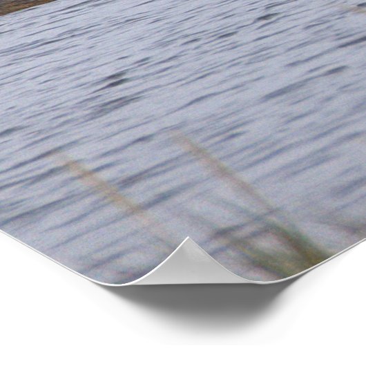 Birds at the Refuge Poster (Hoek)