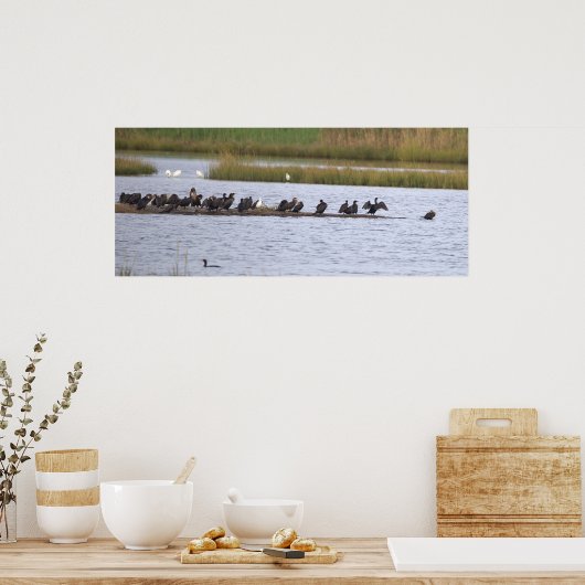 Birds at the Refuge Poster (Keuken)