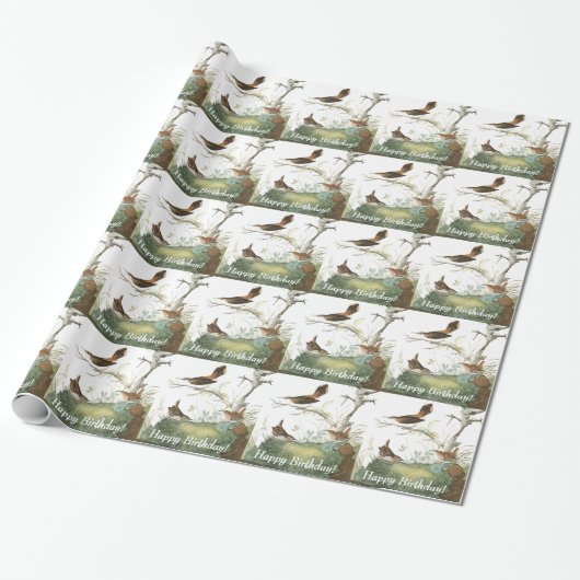 Birds Birthday Wrappapier voor audubon Wren Cadeaupapier (Uitgerold)