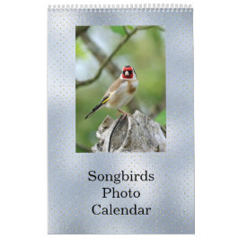Birds Blue Photo  Kalender
