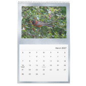 Birds Blue Photo  Kalender (Mar 2027)