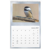 Birds Blue Photo  Kalender (Jan 2027)