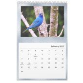 Birds Blue Photo  Kalender (Feb 2027)