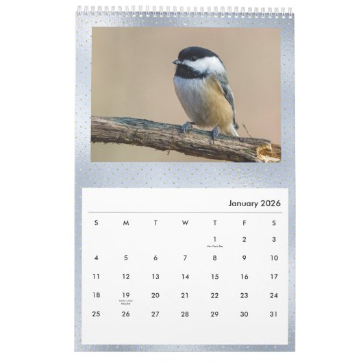 Birds Blue Photo  Kalender (Jan 2026)