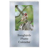 Birds Blue Photo  Kalender (Hoes)