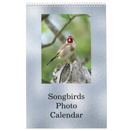 Birds Blue Photo  Kalender (Hoes)