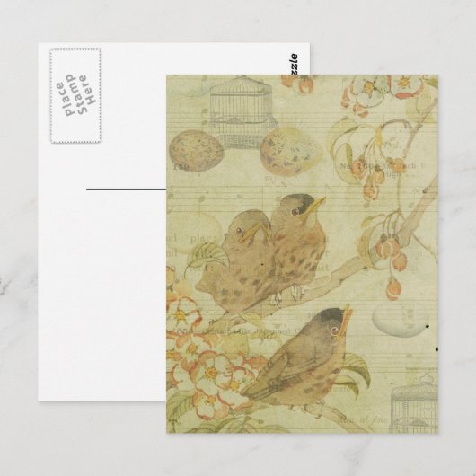  Birds Branch Birdcage Eggs Muziekblad Briefkaart (Voorkant / Achterkant)