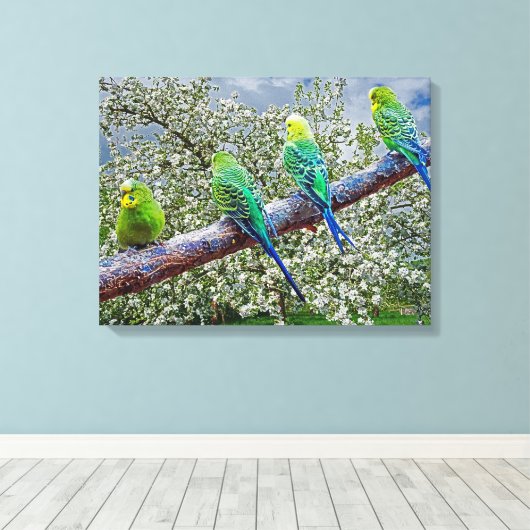 Birds - budgies canvas afdruk (Insitu (Houten vloer))