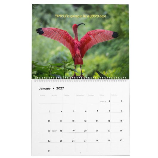 Birds Calendar 2026 - With bible verses Kalender (Jan 2027)