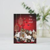 Birds & Cats and Cages Rood, We verhuisden naar Br Aankondigingskaart (Staand voorkant)