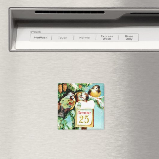 Birds Celebrate Kerstmis Magnet (Insitu (Vaatwasser))