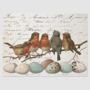 Birds Eggs  European Robin French ontoupage Tissuepapier