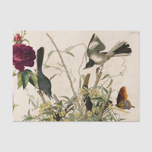 BIRDS EN ROOS TISSUEPAPIER (Voorkant)