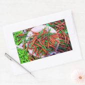 Bird's Eye Chili Peppers Rechthoekige Sticker (Envelop)
