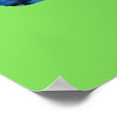 Bird's Eye Christmas Poster (Hoek)