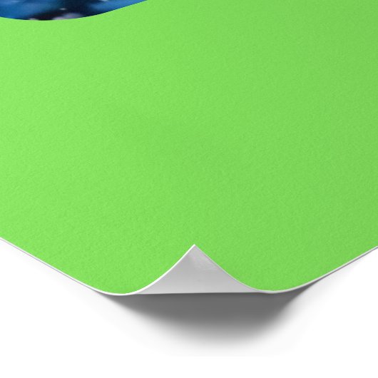 Bird's Eye Christmas Poster (Hoek)