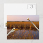 "Birds Eye Uitzicht" - briefkaart (Voorkant / Achterkant)