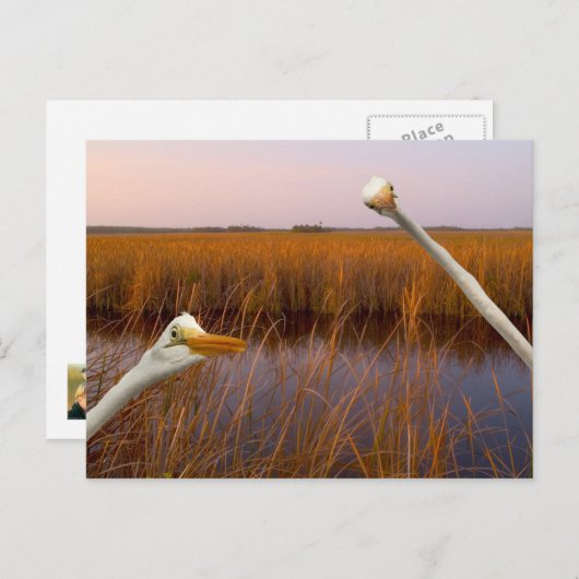 "Birds Eye Uitzicht" - briefkaart (Voorkant / Achterkant)