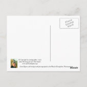 "Birds Eye Uitzicht" - briefkaart (Achterkant)