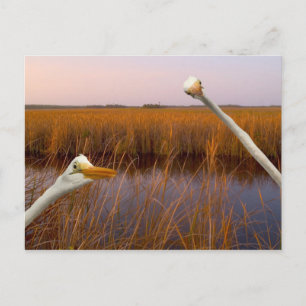 "Birds Eye Uitzicht" - briefkaart