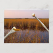 "Birds Eye Uitzicht" - briefkaart (Voorkant)