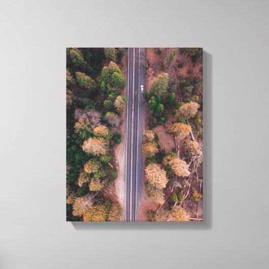 Bird's Eye uitzicht Foto van Road in the Middle Canvas Afdruk (Voorkant)