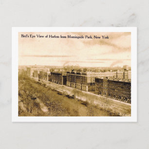 Bird's Eye Uitzicht Harlem, New York City Vintage Briefkaart