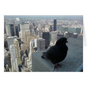 Bird's Eye Uitzicht of New York Card