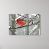 Bird's Eye Uitzicht (Rode Kardinaal) Canvas Print (Voorkant)