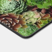 Bird's Eye Uitzicht van Sempervivum Planten Bureaumat (Hoek)