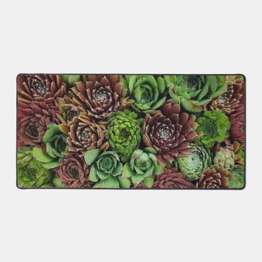 Bird's Eye Uitzicht van Sempervivum Planten Bureaumat (Voorkant)