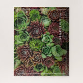 Bird's Eye Uitzicht van Sempervivum Planten Legpuzzel (Verticaal)
