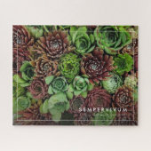 Bird's Eye Uitzicht van Sempervivum Planten Legpuzzel (Horizontaal)