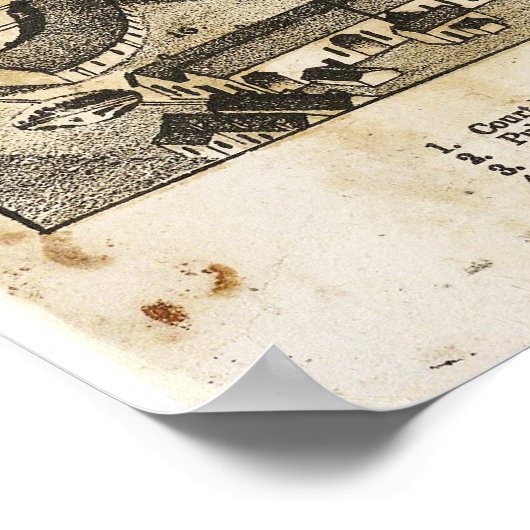 Bird's Eye View Map of Eagle Pass Texas in 1887 Poster (Hoek)