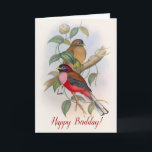 Birds Funny Birthday (Birdday) Pun Kaart<br><div class="desc">Deze charmante vrolijke verjaardagspunkaart toont een prachtige Victoriaans negentiende-eeuwse illustratie van twee kleurrijke gevederde vrienden. Een rode vogel en een bruine vogel zitten samen op een groene boomtak in dit elegante afbeelding. Op de voorzijde van de kaart staat "Happy Birdday" en op de binnenzijde staat "Hope your day is filled...</div>