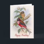 Birds Funny Birthday (Birdday) Pun Kaart<br><div class="desc">Deze charmante vrolijke verjaardagspunkaart toont een prachtige Victoriaans negentiende-eeuwse illustratie van twee kleurrijke gevederde vrienden. Een rode vogel en een bruine vogel zitten samen op een groene boomtak in dit elegante afbeelding. Op de voorzijde van de kaart staat "Happy Birdday" en op de binnenzijde staat "Hope your day is filled...</div>