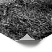 Birds in flight  poster (Hoek)