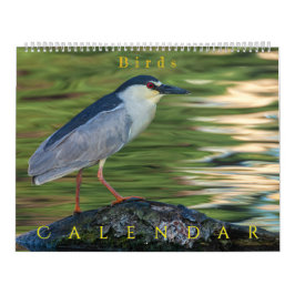 Birds Kalender