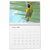 Birds kalender 2021 van Chris Milligan (Jan 2027)
