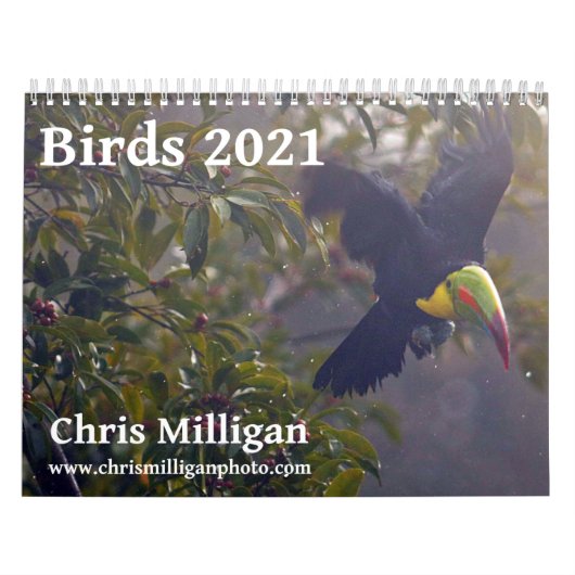 Birds kalender 2021 van Chris Milligan (Hoes)