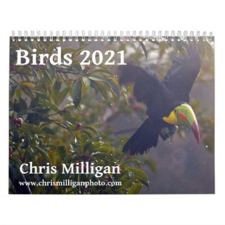Birds kalender 2021 van Chris Milligan