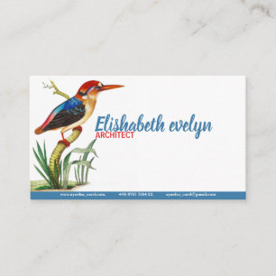 Birds Kingfisher kunst Visitekaartje