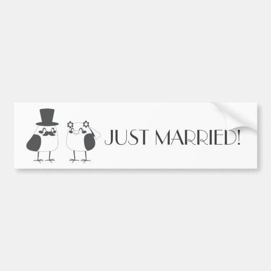 Birds Love Wedding Cake Bumpersticker (Voorkant)